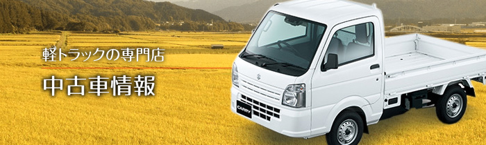 軽トラックの専門店 国際自動車